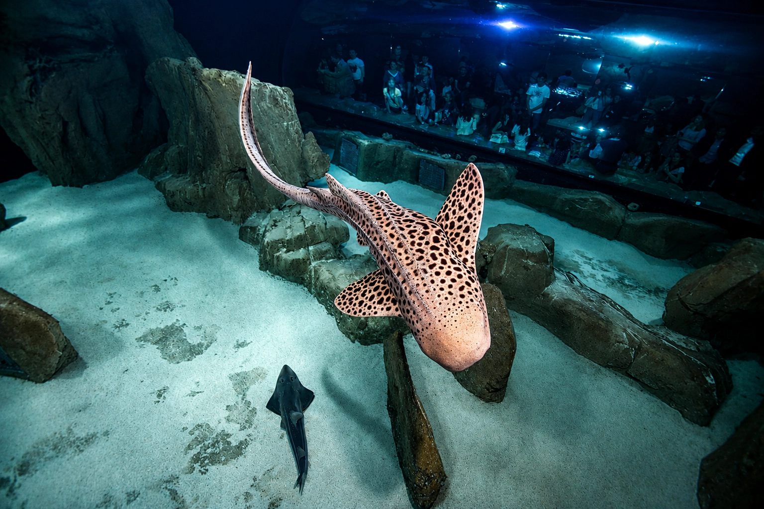 Aquarium de Paris
