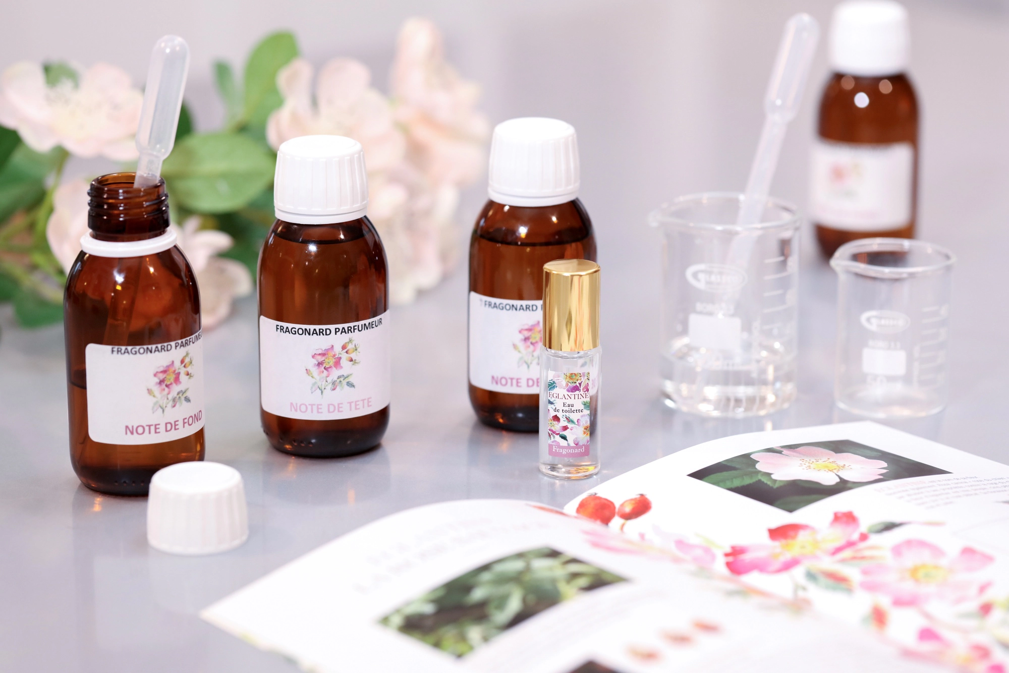 Laboratorio al Museo del Profumo Fragonard