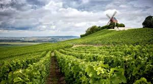 Weinbergtour: 2-tägiger privater Ausflug in die Champagne
