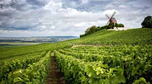 Private 2-day trip to Champagne