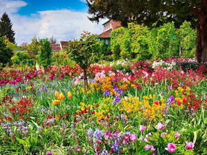 France Tourisme : Tagesausflug nach Versailles und Giverny