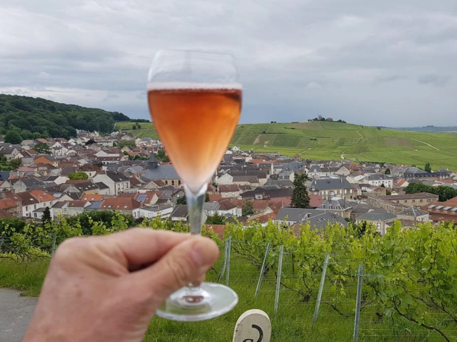 Excursión en Champagne y visita de Reims desde París