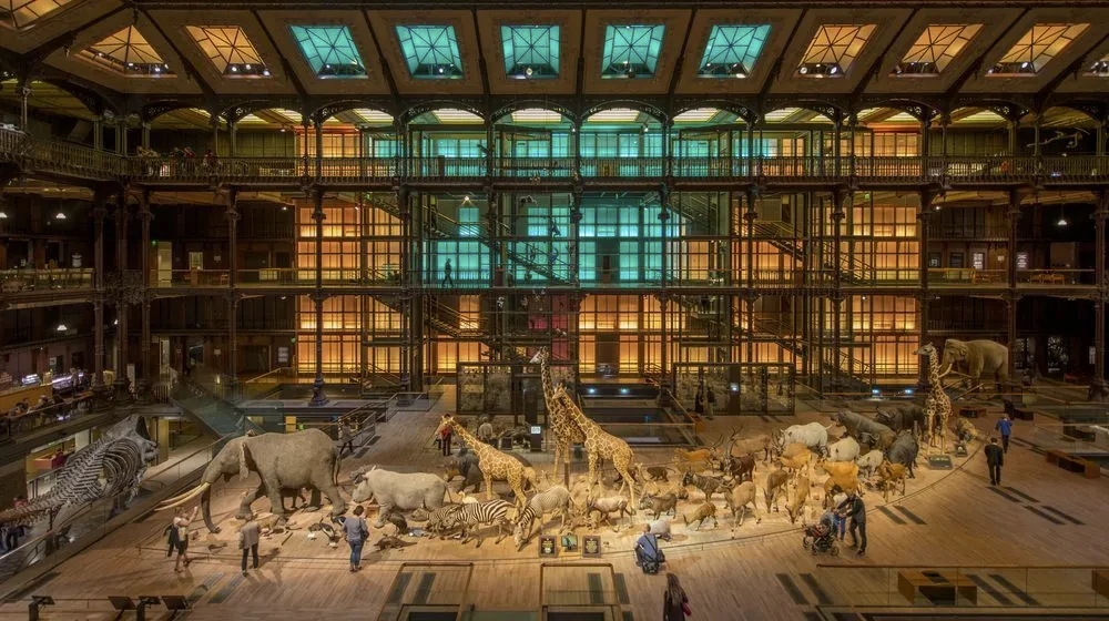 Grande Galerie de l’Évolution - Muséum d’Histoire Naturelle