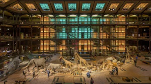 Grande Galerie de l’Évolution - Muséum d’Histoire Naturelle