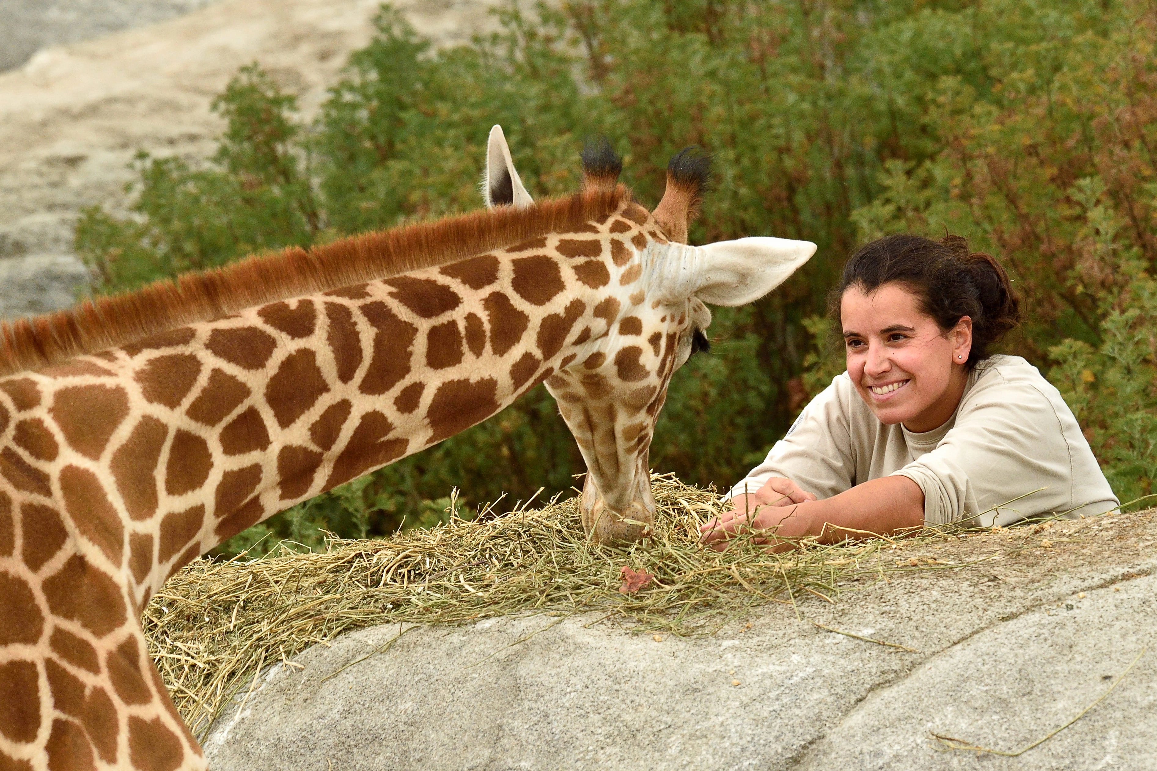 Parc Zoologique de Paris