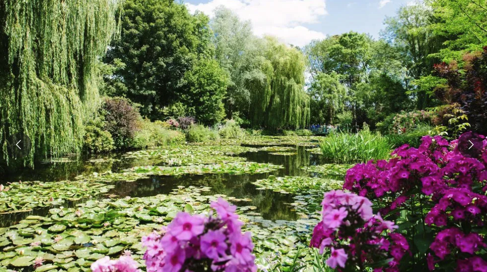 Bike tour of Monet's gardens and Giverny with picnic stop at the market