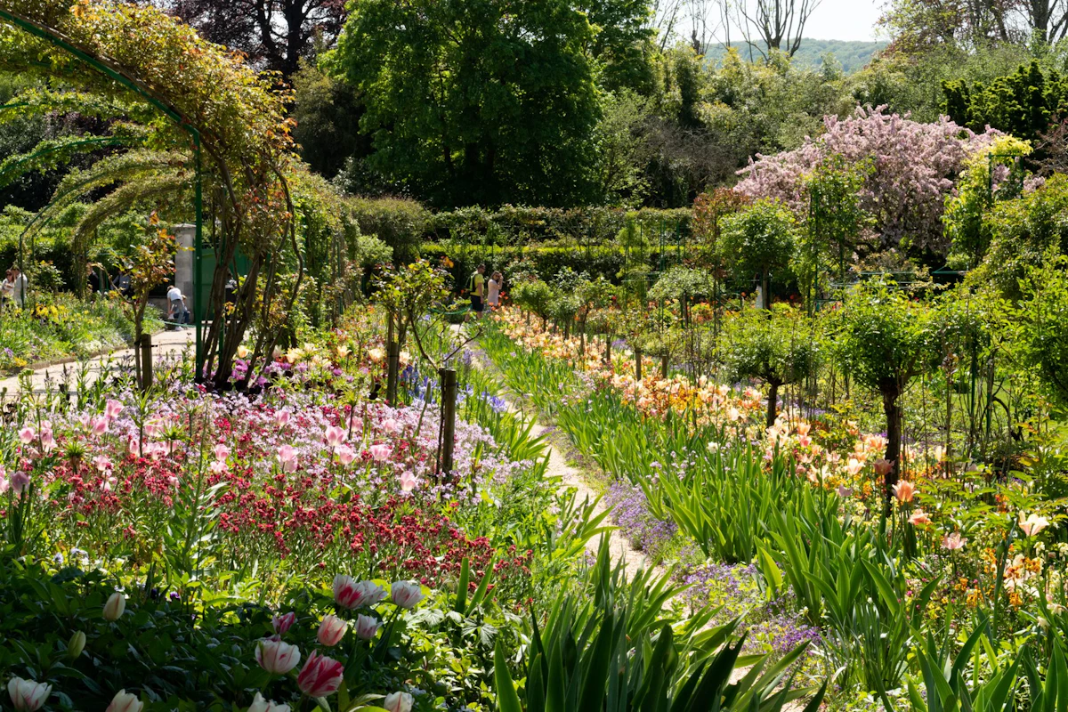 Bike tour of Monet's gardens and Giverny with picnic stop at the market