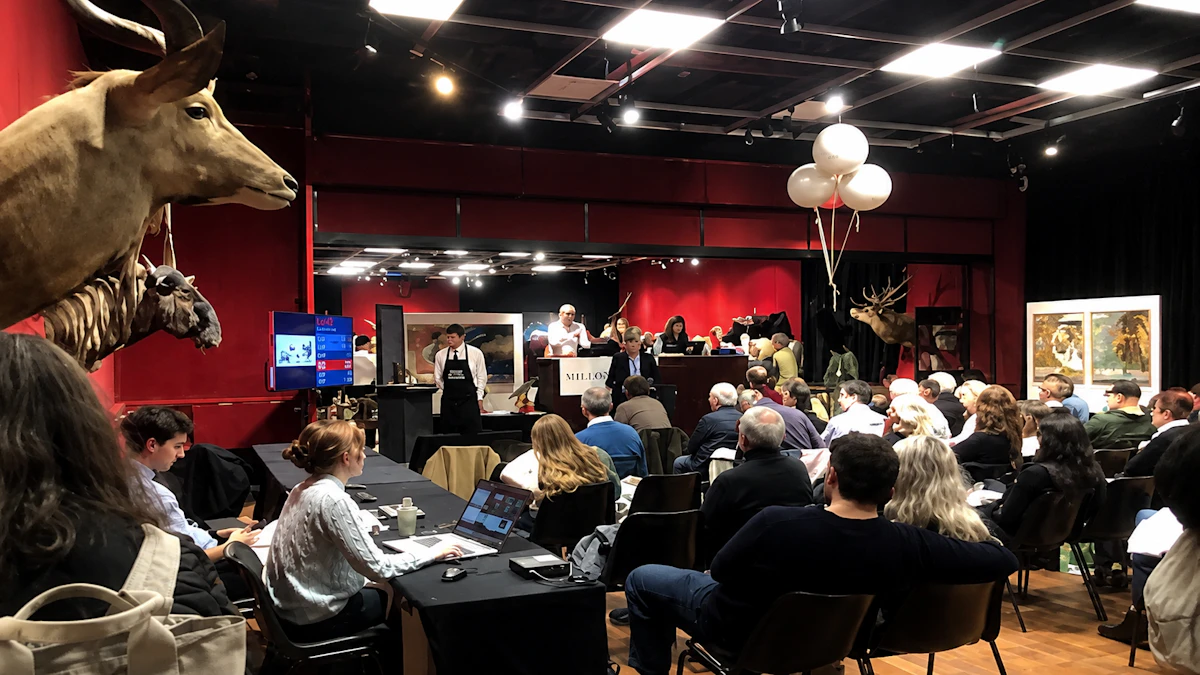 Guided tour – DROUOT Live (how auctions work + its historic neighbourhood)